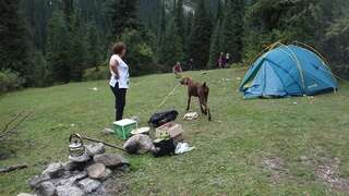 Кемпинги Camping Issyk-Kul Rybpunkt Палатка (для 2 взрослых)-1